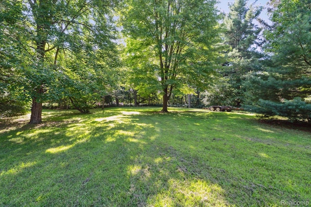 114 Park Ave, Holly, MI 48442 - photo 41
