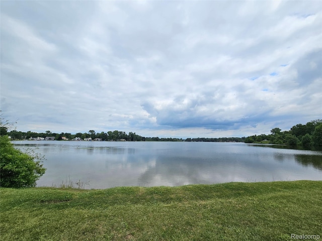 114 Park Ave, Holly, MI 48442 - photo 46