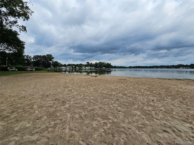 114 Park Ave, Holly, MI 48442 - photo 45