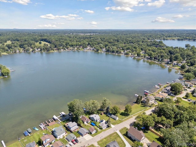 2295 Davista Dr, Highland, MI 48356 - photo 45