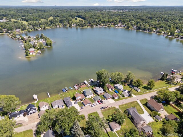 2295 Davista Dr, Highland, MI 48356 - photo 44