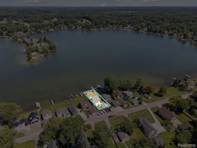 2295 Davista Dr, Highland, MI 48356 - photo 49