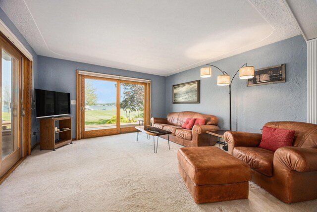 7601 S Indian Lake Dr, Vicksburg, MI 49097 - photo 24