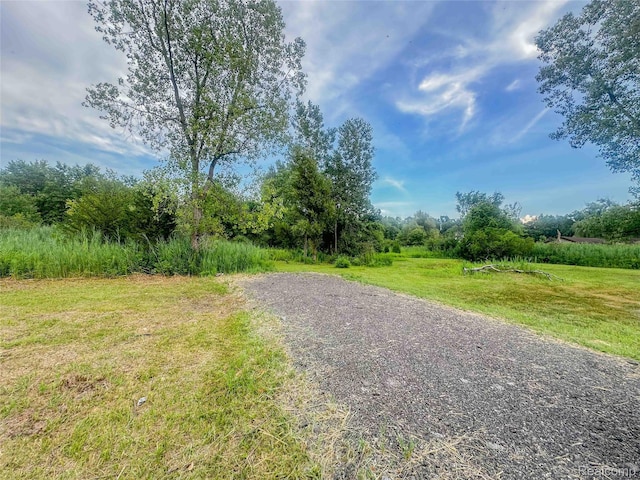 23901 Sumpter Rd, Belleville, MI 48111 - photo 2
