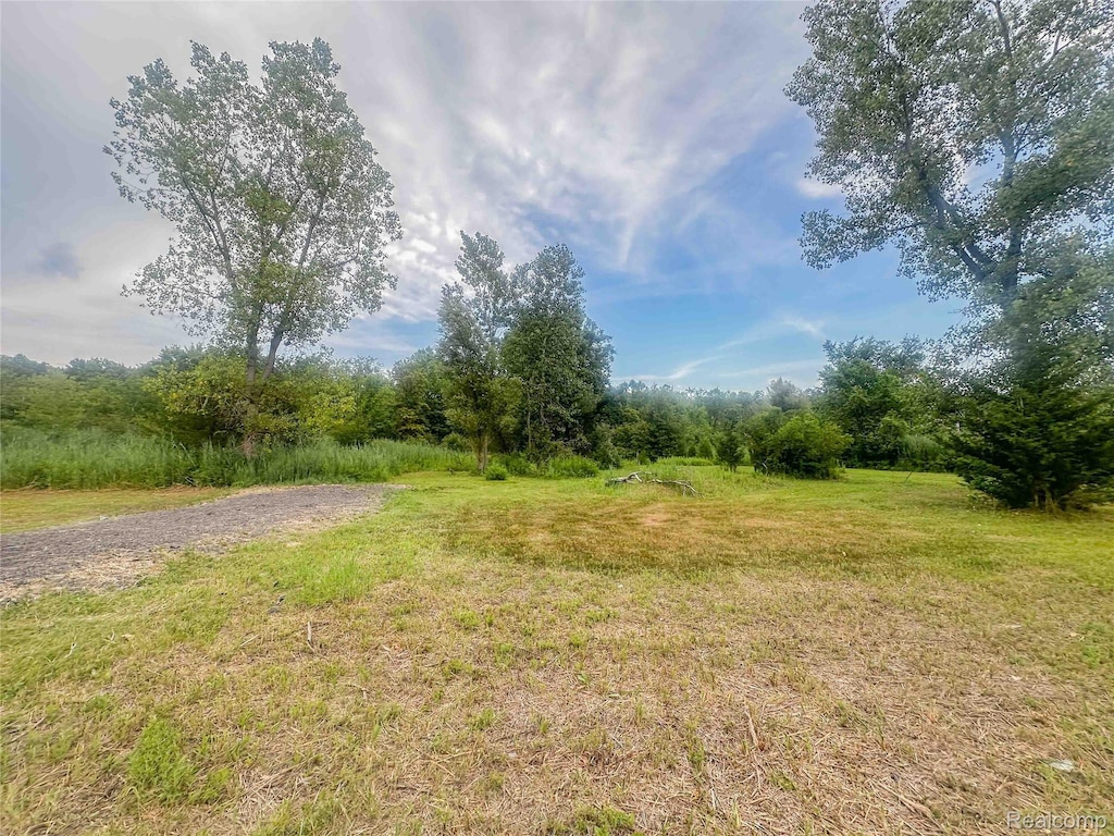 23901 Sumpter Rd, Belleville, MI 48111 - photo 1