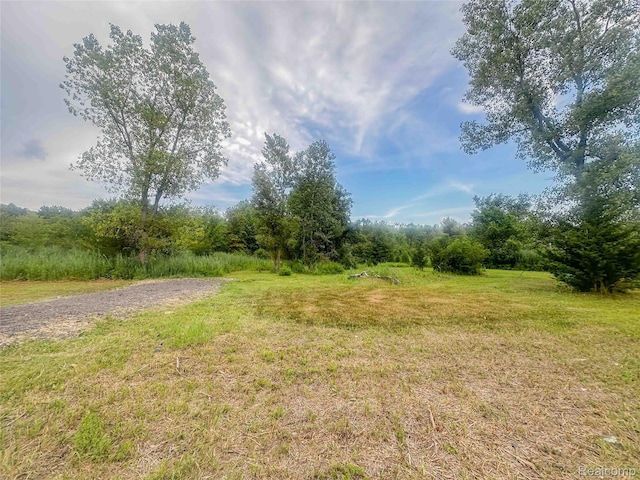 23901 Sumpter Rd, Belleville, MI 48111 - photo 1