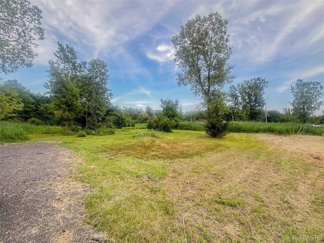 23901 Sumpter Rd, Belleville, MI 48111 - photo 3