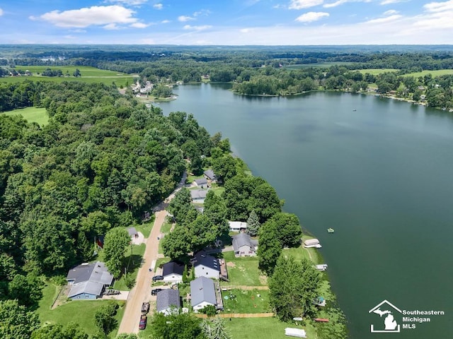 7940 Shaffer Rd, Reading, MI 49274 - photo 58