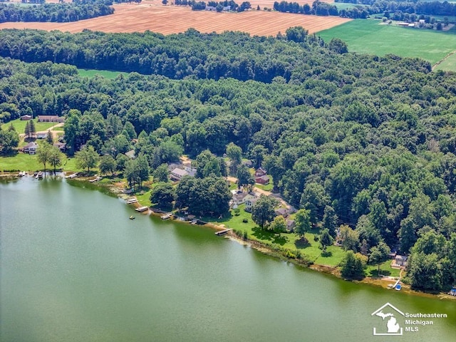 7940 Shaffer Rd, Reading, MI 49274 - photo 68