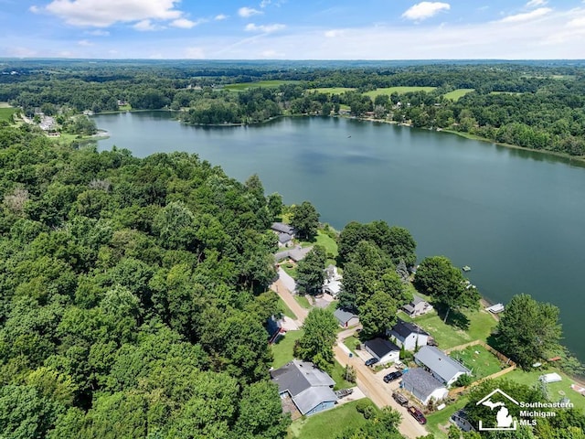7940 Shaffer Rd, Reading, MI 49274 - photo 57