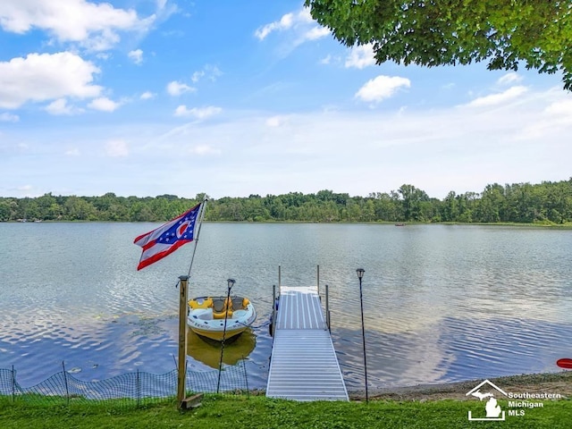 7940 Shaffer Rd, Reading, MI 49274 - photo 43