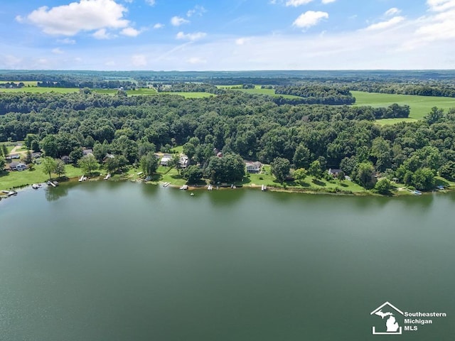 7940 Shaffer Rd, Reading, MI 49274 - photo 60