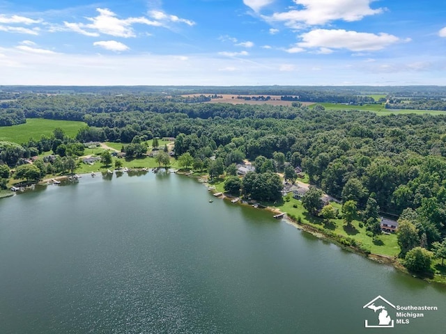 7940 Shaffer Rd, Reading, MI 49274 - photo 61