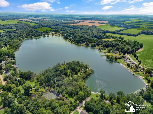 7940 Shaffer Rd, Reading, MI 49274 - photo 67