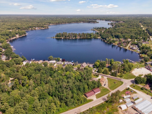 5020 Main St, Long Lake, MI 48743 - photo 45