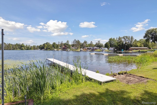 5020 Main St, Long Lake, MI 48743 - photo 35
