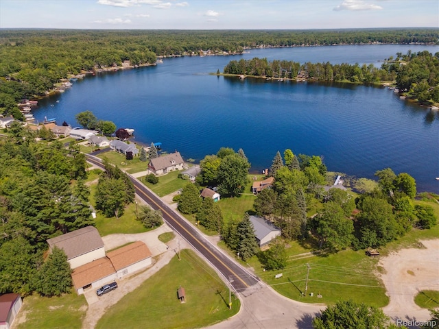 5020 Main St, Long Lake, MI 48743 - photo 43
