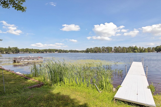 5020 Main St, Long Lake, MI 48743 - photo 36