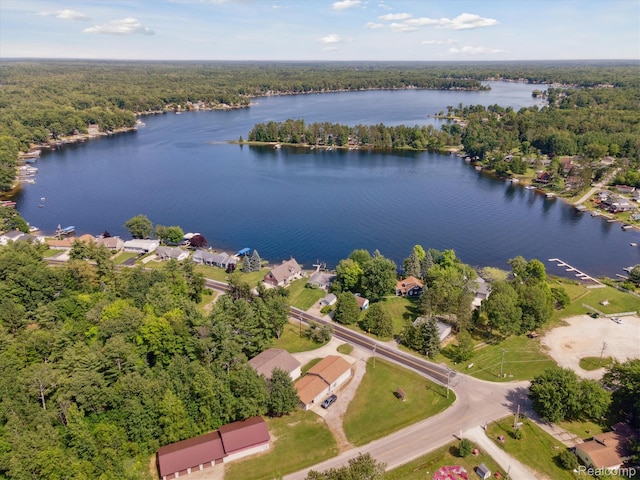 5020 Main St, Long Lake, MI 48743 - photo 44