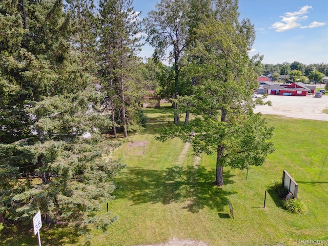 5020 Main St, Long Lake, MI 48743 - photo 47