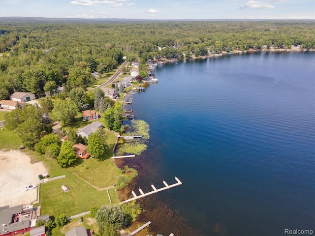 5020 Main St, Long Lake, MI 48743 - photo 41