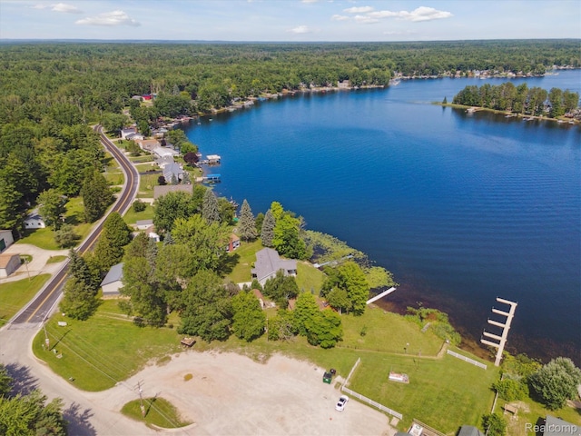 5020 Main St, Long Lake, MI 48743 - photo 42