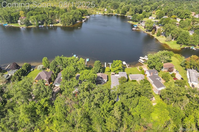3558 Windwheel Point Dr, Pinckney, MI 48169 - photo 32