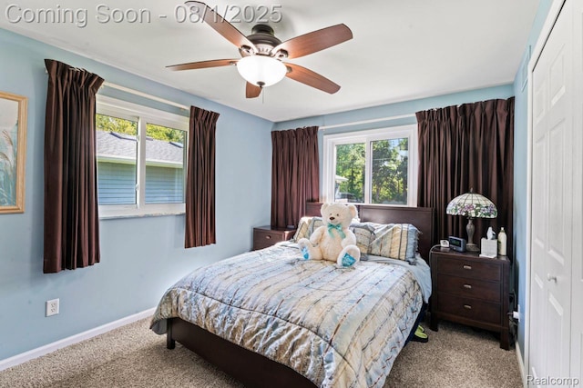 3558 Windwheel Point Dr, Pinckney, MI 48169 - photo 14