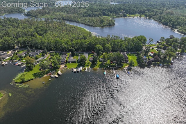 3558 Windwheel Point Dr, Pinckney, MI 48169 - photo 38