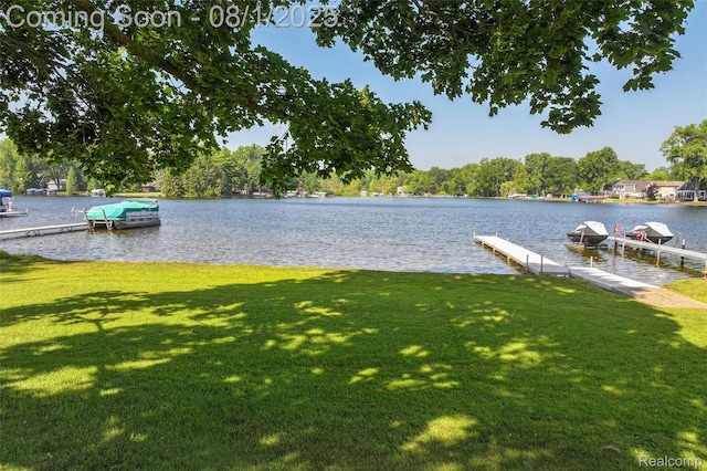 3558 Windwheel Point Dr, Pinckney, MI 48169 - photo 26