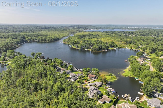 3558 Windwheel Point Dr, Pinckney, MI 48169 - photo 34