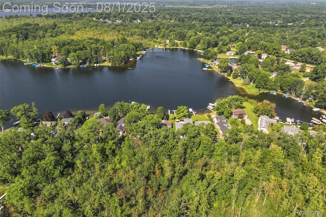 3558 Windwheel Point Dr, Pinckney, MI 48169 - photo 33