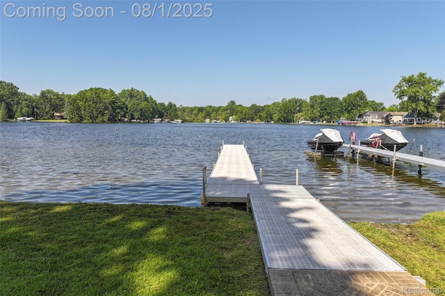3558 Windwheel Point Dr, Pinckney, MI 48169 - photo 4