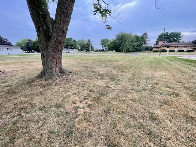 643 S Grant Ave, Three Rivers, MI 49093 - photo 31