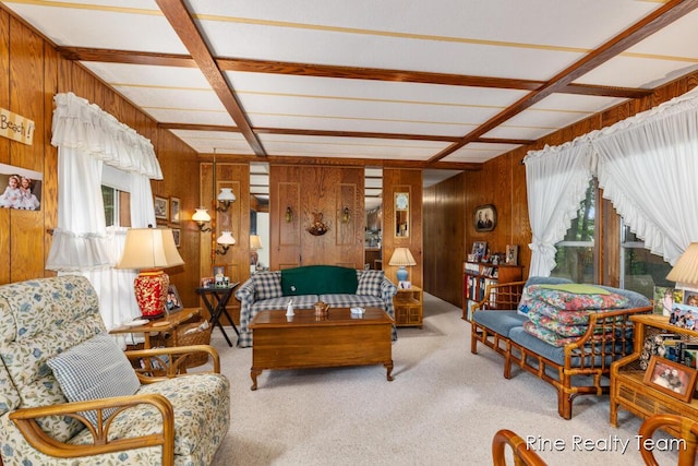 648 S 18th Ave, Shelby, MI 49455 - photo 5