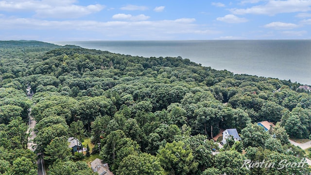17211 Windchime Ct, West Olive, MI 49460 - photo 42