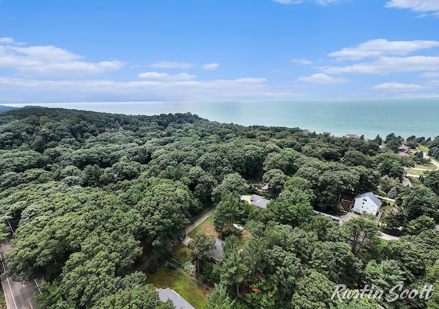 17211 Windchime Ct, West Olive, MI 49460 - photo 43