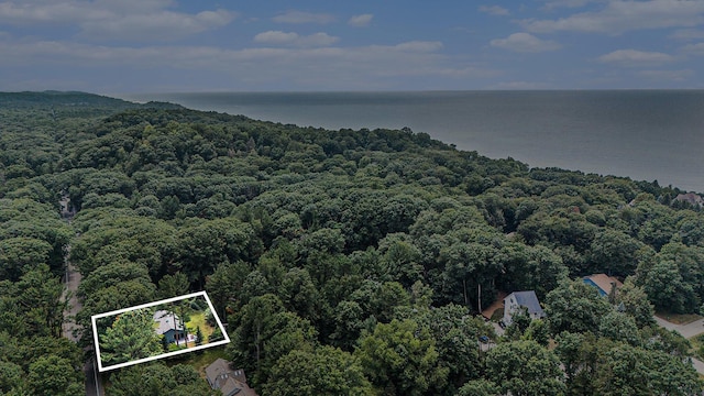 17211 Windchime Ct, West Olive, MI 49460 - photo 44