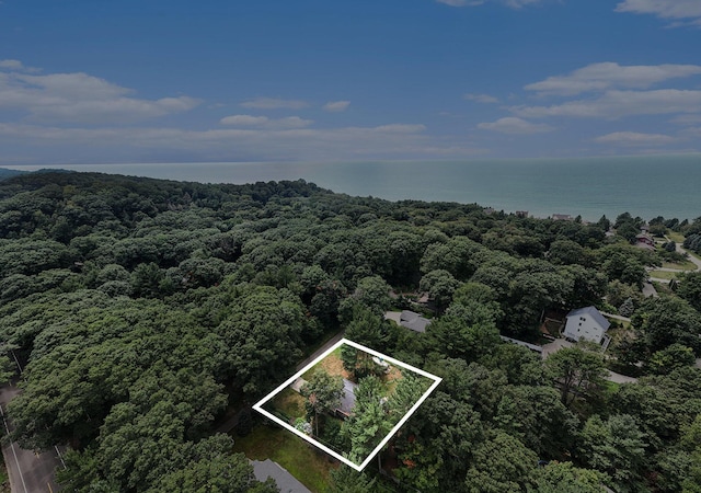 17211 Windchime Ct, West Olive, MI 49460 - photo 45