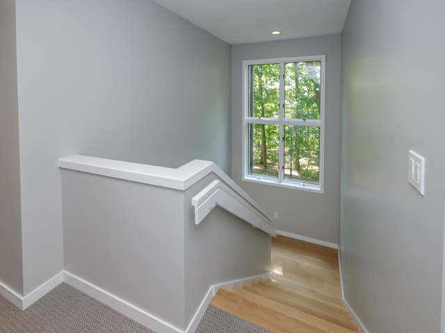 3801 Songbird Ln, Kalamazoo, MI 49008 - photo 46