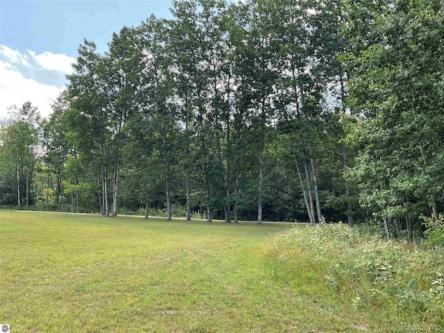10694 Freeman Rd, Mesick, MI 49668 - photo 7