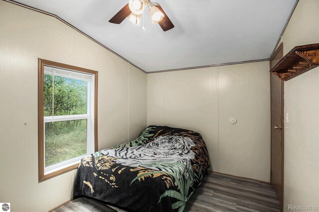 10694 Freeman Rd, Mesick, MI 49668 - photo 31