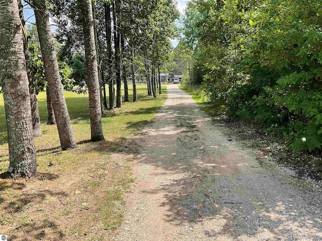 10694 Freeman Rd, Mesick, MI 49668 - photo 39