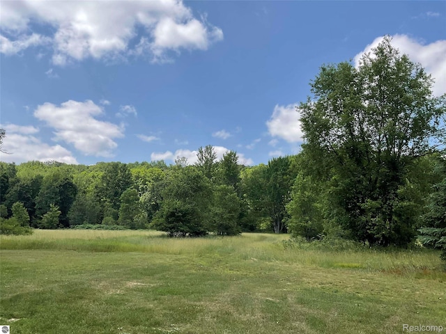 10694 Freeman Rd, Mesick, MI 49668 - photo 42