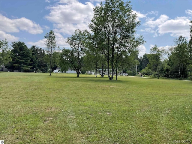 10694 Freeman Rd, Mesick, MI 49668 - photo 8