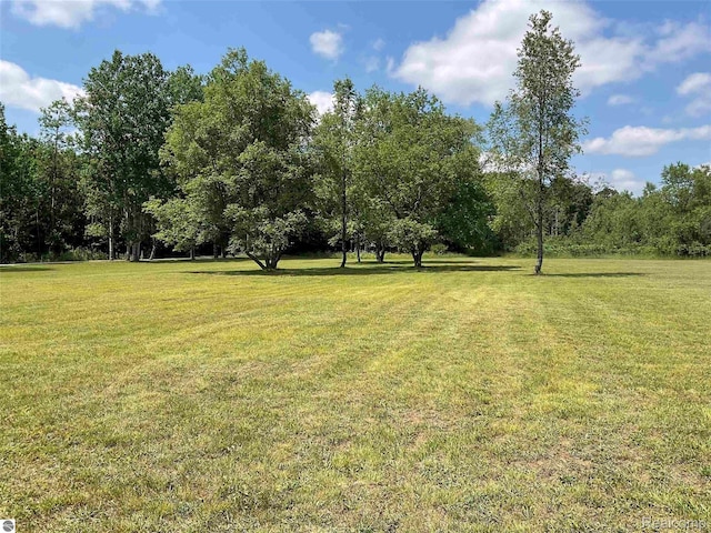 10694 Freeman Rd, Mesick, MI 49668 - photo 6