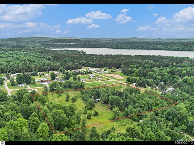 10694 Freeman Rd, Mesick, MI 49668 - photo 5