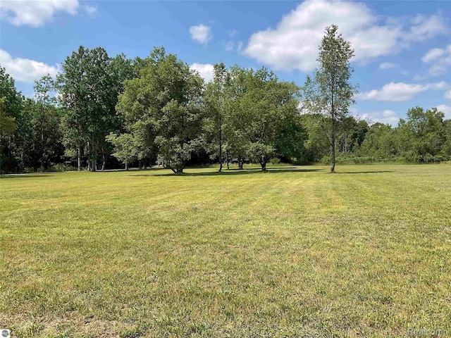 10694 Freeman Rd, Mesick, MI 49668 - photo 44