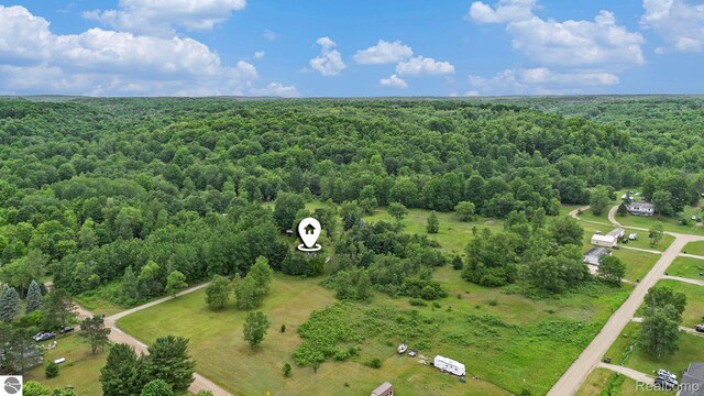 10694 Freeman Rd, Mesick, MI 49668 - photo 9
