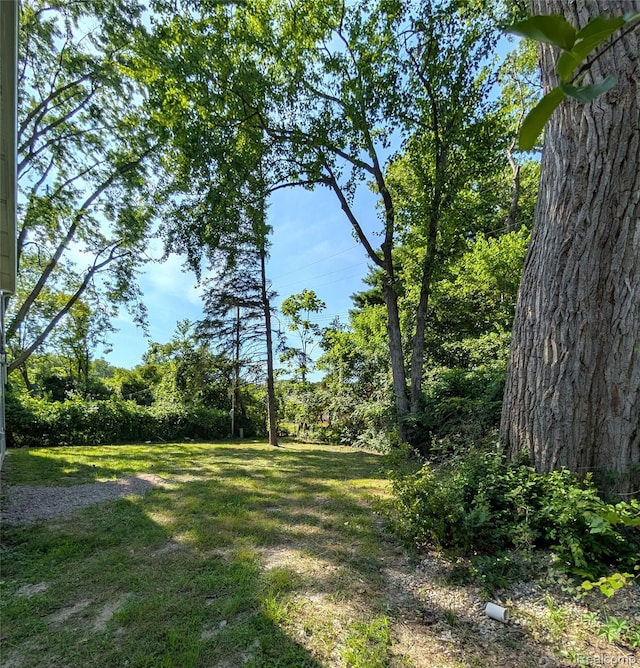 19780 Mahon St, Southfield, MI 48075 - photo 27